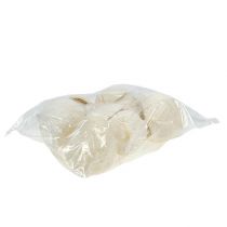 Article Noix de Bouddha blanchies 10 pcs