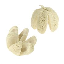 Article Déco fleur blanchie 12 pcs