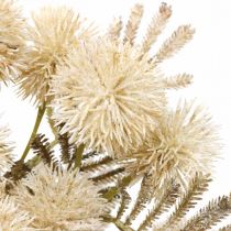 Chardon Artificiel Crème Drylook Globe Thistle 33cm 3pcs