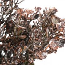 Article Plantes artificielles marron décoration d&#39;automne décoration d&#39;hiver Drylook 38cm 3 pcs