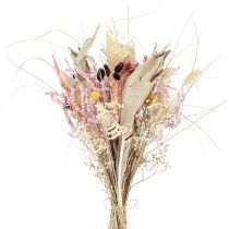 Article Bouquet de fleurs séchées colorées Bouquet exotique 55cm 120g