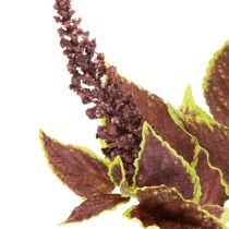 Article Coléus artificiel à feuilles rouges, plante artificielle, 20 cm