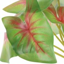 Article Caladium artificiel à six feuilles vert/rose, plante artificielle comme de vraies !