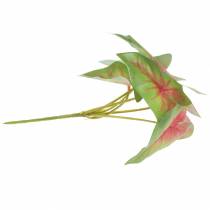Article Caladium artificiel à six feuilles vert/rose, plante artificielle comme de vraies !