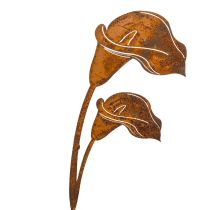 Article Tuteur de jardin pour fleurs de calla rouille, pour tombes et art floral, 25 cm, lot de 6