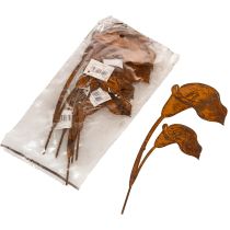 Article Tuteur de jardin pour fleurs de calla rouille, pour tombes et art floral, 25 cm, lot de 6