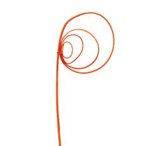 Article Tiges de canne enroulées naturelles Orange 40-50cm 25pcs