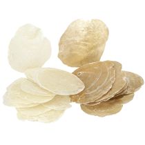 Article Capiz Déco coquillages Couleur or et naturel Assortis 60 pièces