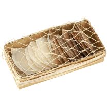 Article Capiz Déco coquillages Couleur or et naturel Assortis 60 pièces