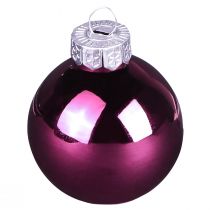 Article Boules de sapin de Noël boules de sapin en verre Berry Mix Ø5cm 24 pcs Berry rose beige crème brillant