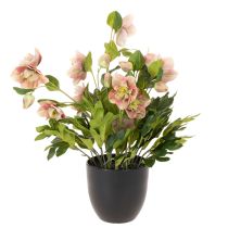 Article Hellébore artificielle en pot, rose de Noël, pour la décoration intérieure, 50 cm