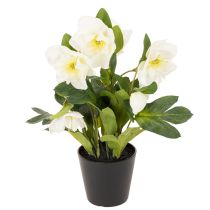 Article Rose de Noël artificielle, plante en pot, décoration de table, 34 cm