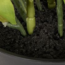 Article Rose de Noël artificielle, plante en pot, décoration de table, 34 cm