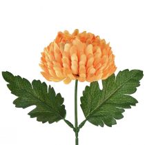 Article Chrysanthème orange Ø7cm L18cm 1 pc