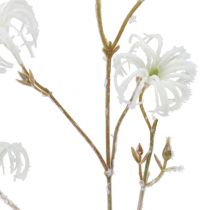 Branche de clématite blanche floquée 62cm 3pcs