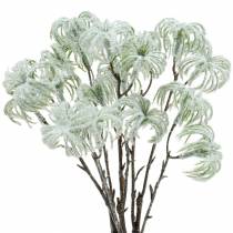 Article Clématite verte avec neige 43cm 3 pcs