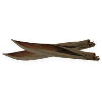 Article Coquilles de noix de coco naturelles 60cm 5 pcs