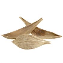Article Coquilles de noix de coco feuilles de noix de coco blanchies 25 pcs