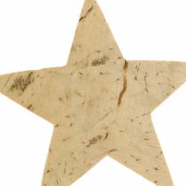 Article Noix de coco Star Nature 5cm 50pcs