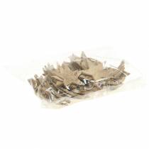 Article Noix de coco Star Nature 5cm 50pcs