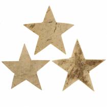 Article Noix de coco Star Nature 5cm 50pcs