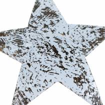 Article Noix de coco étoile blanche lavée 10cm 20pcs