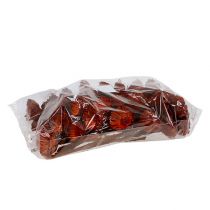 Article Compacta Rosette orange 40 pcs