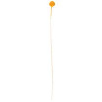 Article Bouquet de craspedias séchées, 55 cm, 20 pièces