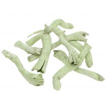 Racines creuses, Pepe cône vert clair blanchi 350 g