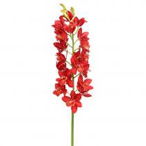 Article Orchidée Cymbidium rouge 78 cm