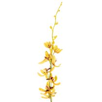 Article Orchidée Cymbidium artificielle en tige florale pour décoration élégante, 95 cm, 2 pièces