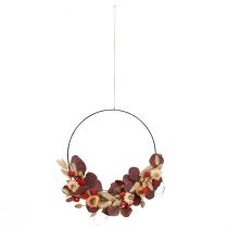 Article Couronne de fleurs séchées à faire soi-même (fleurs de paille) Ø30cm - Anneau décoratif bohème - Créez votre propre modèle