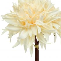 Article Dahlia artificiel crème 25.5cm 3pcs