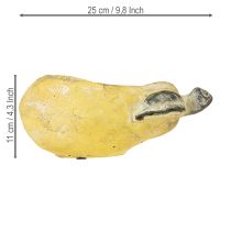 Article Jardinière décorative en forme de poire, pot de fleurs d'automne en béton, 25 x 13 x 11 cm