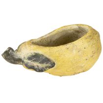 Article Jardinière décorative en forme de poire, pot de fleurs d'automne en béton, 25 x 13 x 11 cm