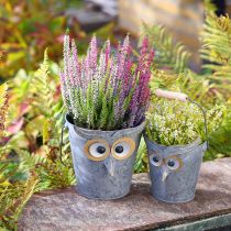 Article Jardinière décorative hibou en zinc avec anse Ø15/19cm lot de 2