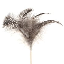 Article Plumes Décoratives Pintade Pointillées sur Bâton Naturel L35cm 12 Pcs
