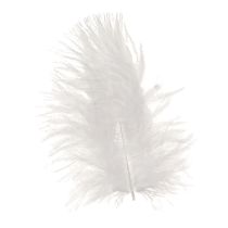 Article Plumes décoratives en blanc fournitures artisanales printemps 5-10cm 20g