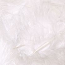 Article Plumes décoratives en blanc fournitures artisanales printemps 5-10cm 20g