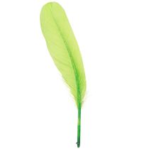 Article Plumes décoratives pour travaux manuels plumes d&#39;oie vert clair 20g x 2pcs