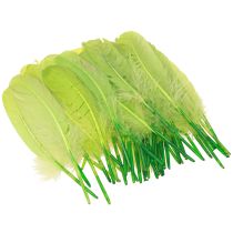Article Plumes décoratives pour travaux manuels plumes d'oie vert clair 20g x 2pcs