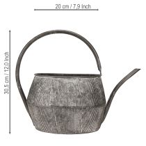 Article Arrosoir/théière décoratif en métal noir, style vintage