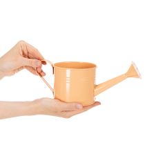 Article Ensemble d'arrosoirs décoratifs aux tons pastel saumon, vert et jaune-vert - pot en métal Ø11 cm H10 cm, 8 pièces
