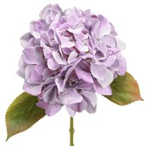 Article Décoration Hortensias Fleurs Artificielles Fleur Violette Ø18cm 69cm 2pcs