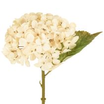 Article Hortensias décoratifs artificiels crème en soie 34 cm 2 pièces
