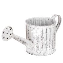 Article Arrosoir décoratif, jardinière, arrosoir pour plantation Ø10,5 cm
