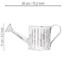 Article Arrosoir décoratif, jardinière, arrosoir pour plantation Ø10,5 cm