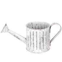 Article Arrosoir décoratif, jardinière, arrosoir pour plantation Ø10,5 cm