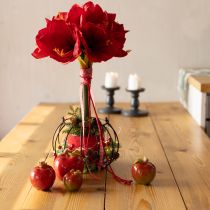 Article Pommes décoratives en céramique décoration de table automne rouge vert H7,5 cm 4 pièces