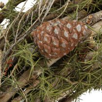 Article Couronne décorative branches et cônes de cèdre couronne en bois naturel Ø40cm